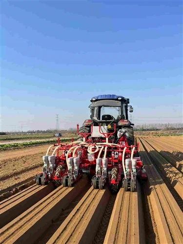 Why Small-Seed Vegetables Demand Specialized Seeding Equipment