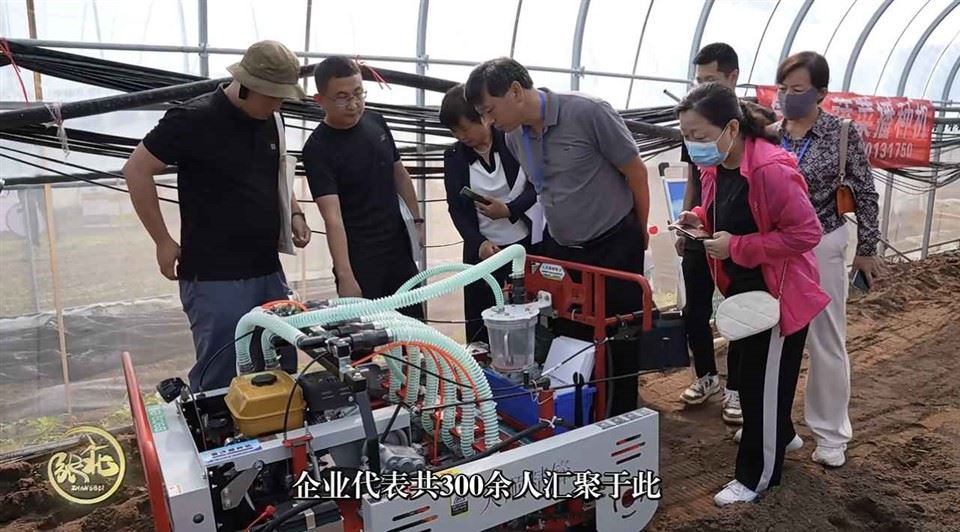 Pneumatic Veg Planter Rows