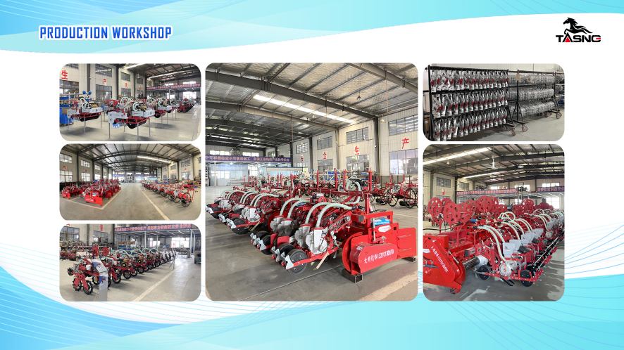 product-886-498 product-886-498